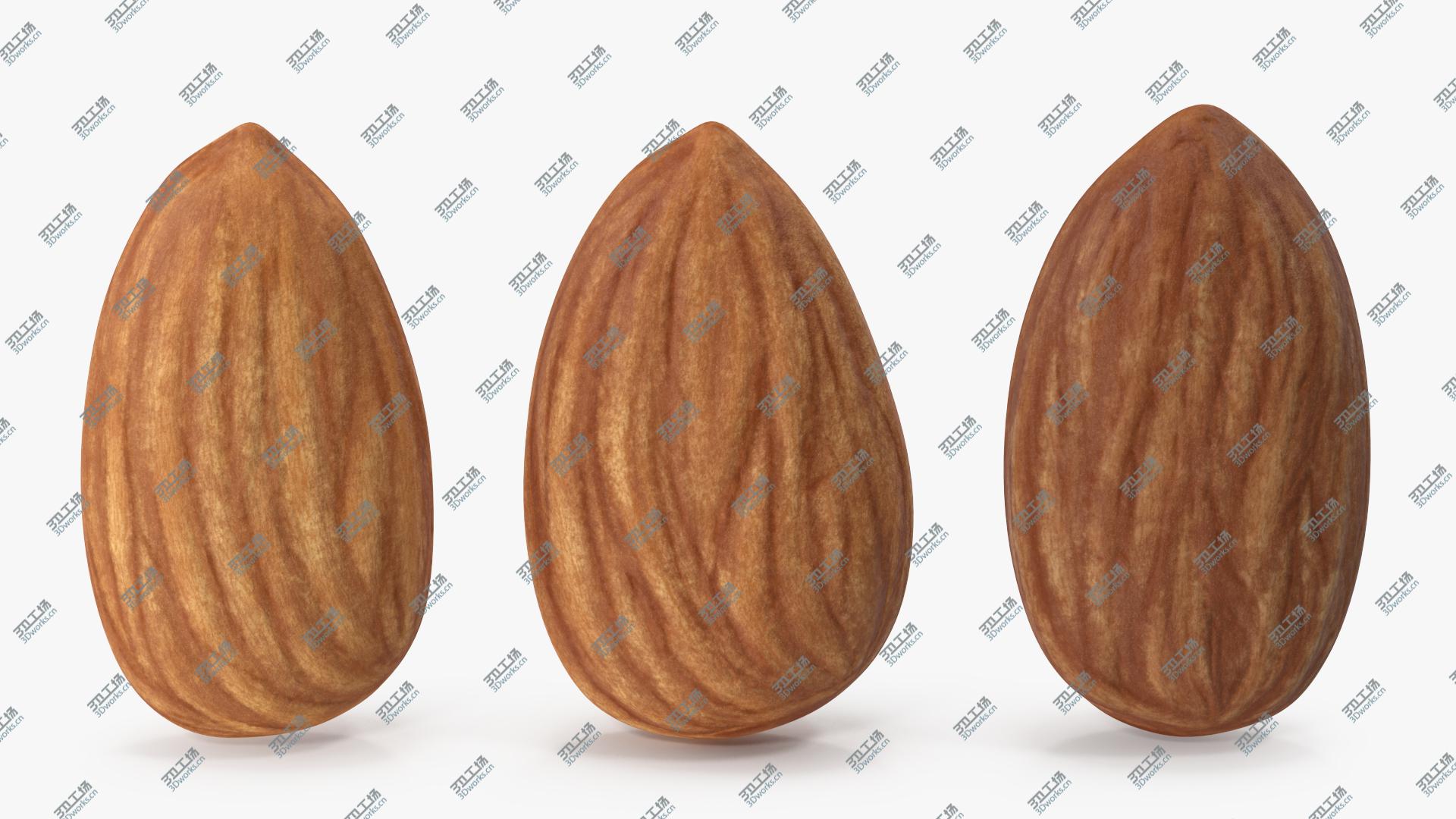 images/goods_img/202105073/Almond Nuts v 2 3D model/3.jpg